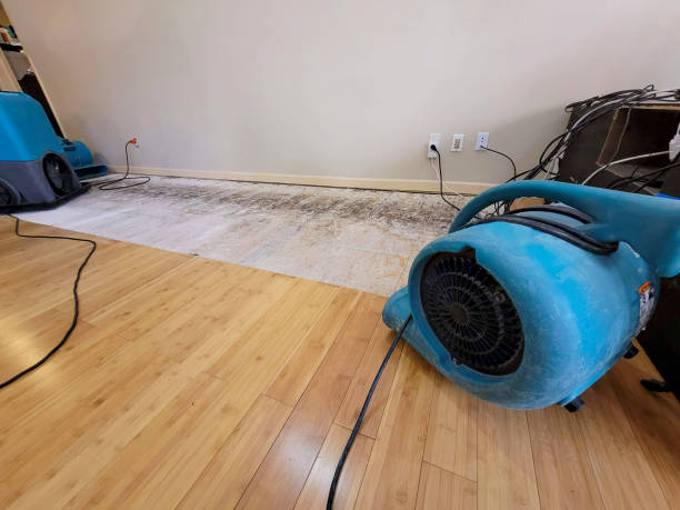 Professional Ceiling Water Damage Repair technician working in Bath, MI