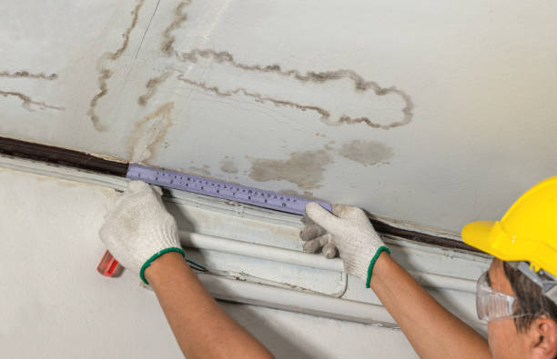 Affordable Ceiling Water Damage Repair solutions in Bath, MI